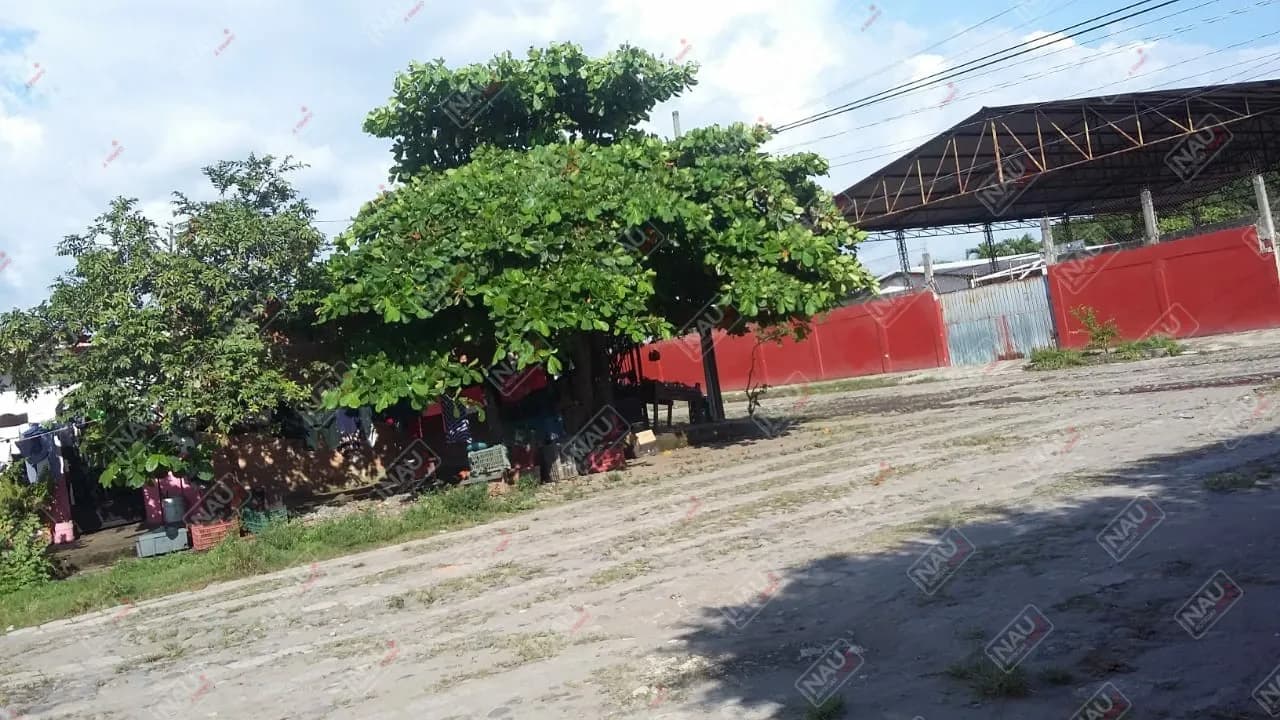 Asaltan a repartidor de Barcel en la colonia Nuevo Mundo
