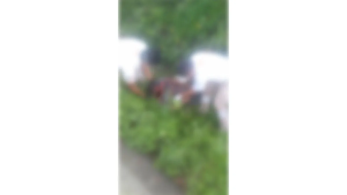Fue atropellado por un vehículo