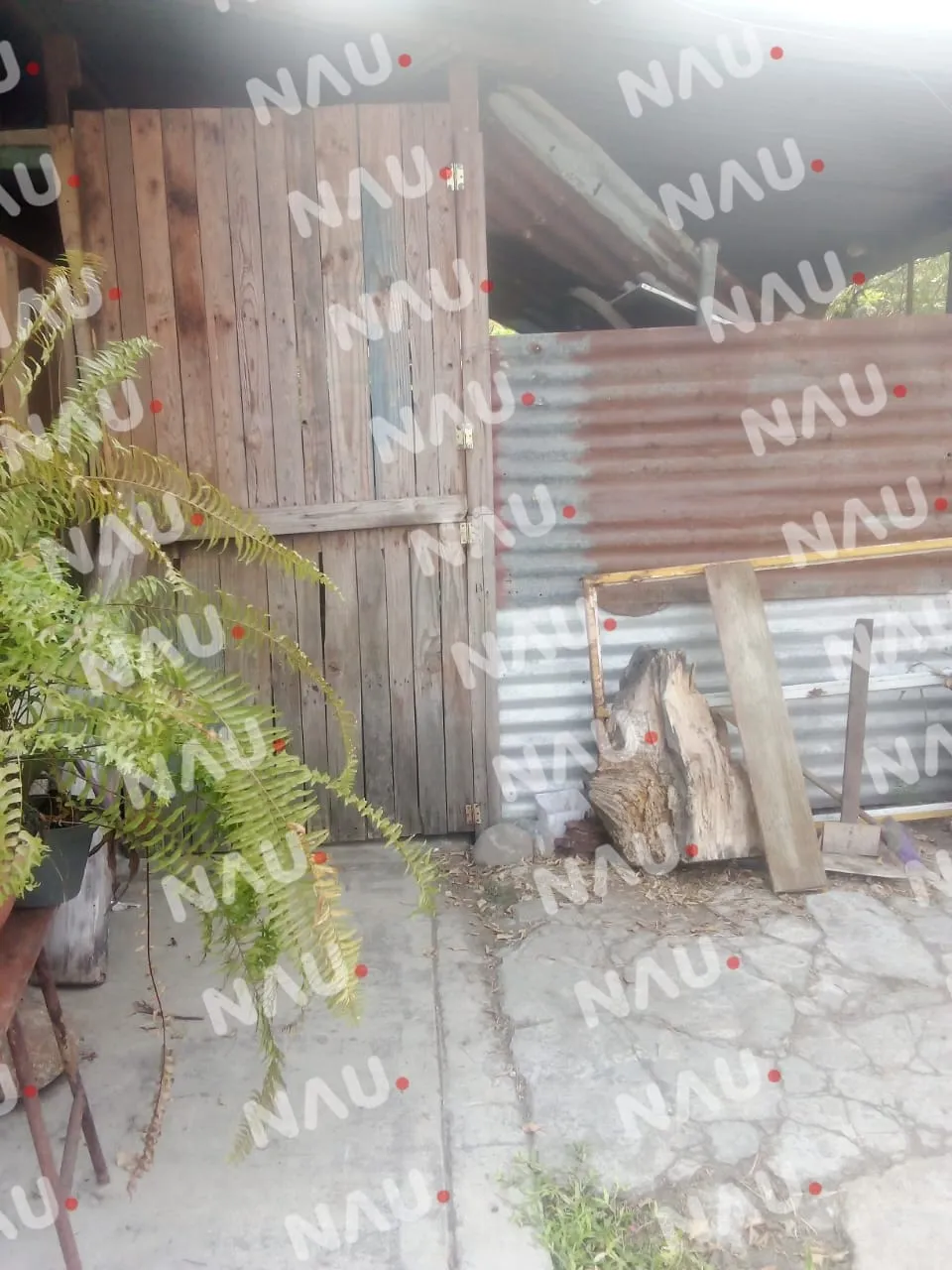“Vídeo” Vecina de Laureles 2 denunciada por maltrato animal y falta de higiene