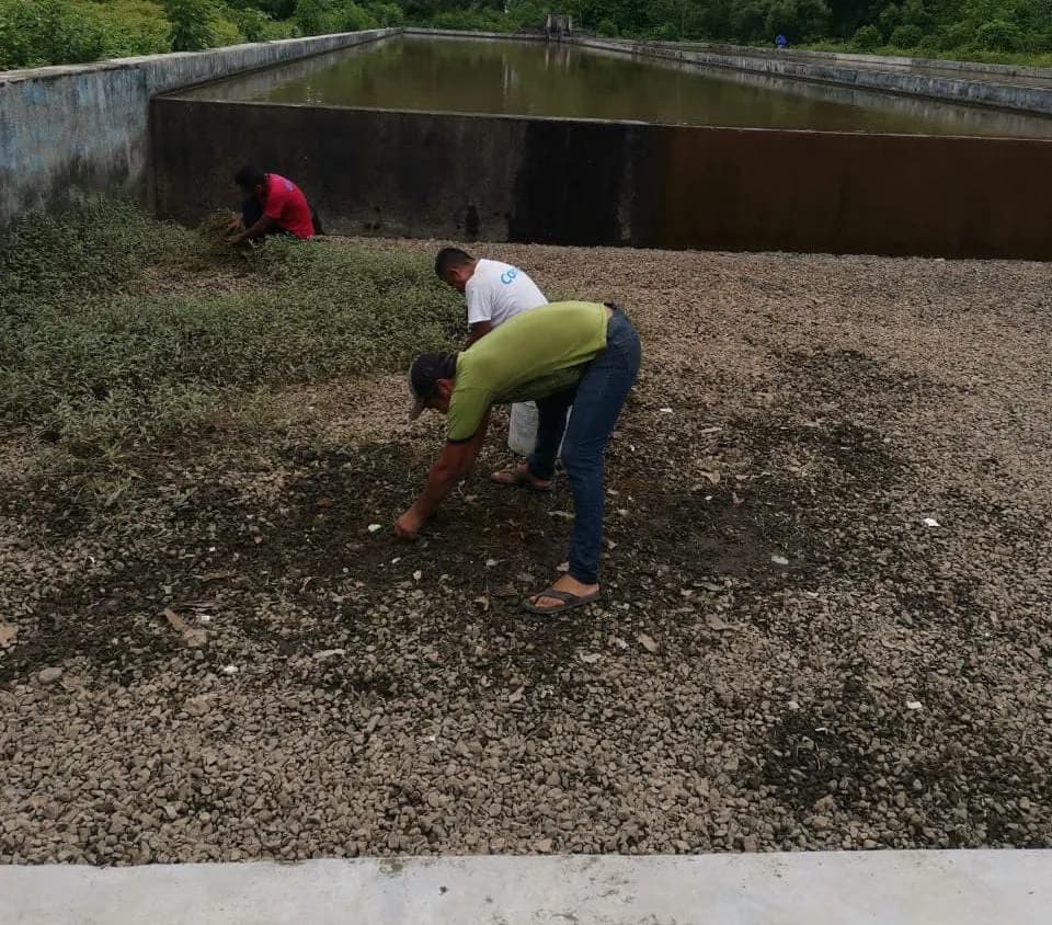 Realizan cambio de línea en los filtros de agua en Tuxtla Chico