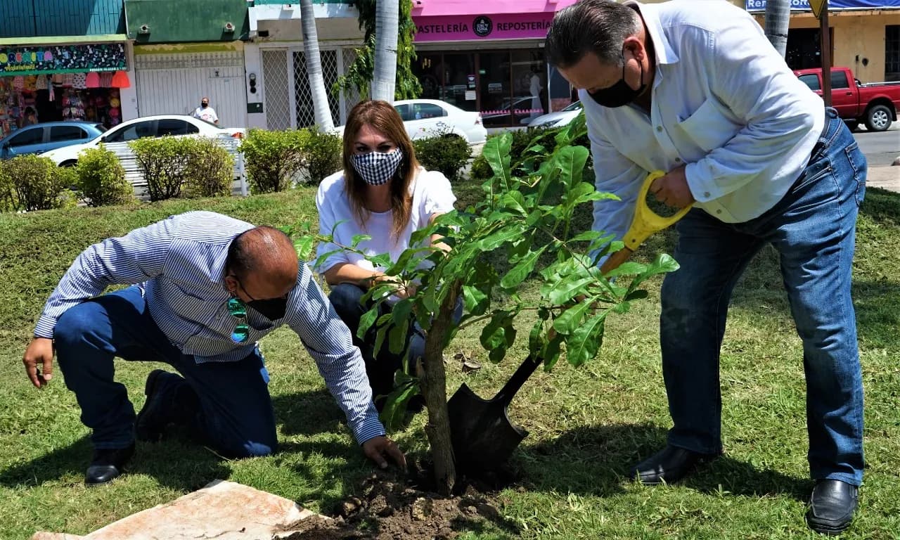EN EL DÍA MUNDIAL DEL ÁRBOL, AYUNTAMIENTO DE TAPACHULA IMPULSA ACCIONES DE REFORESTACIÓN