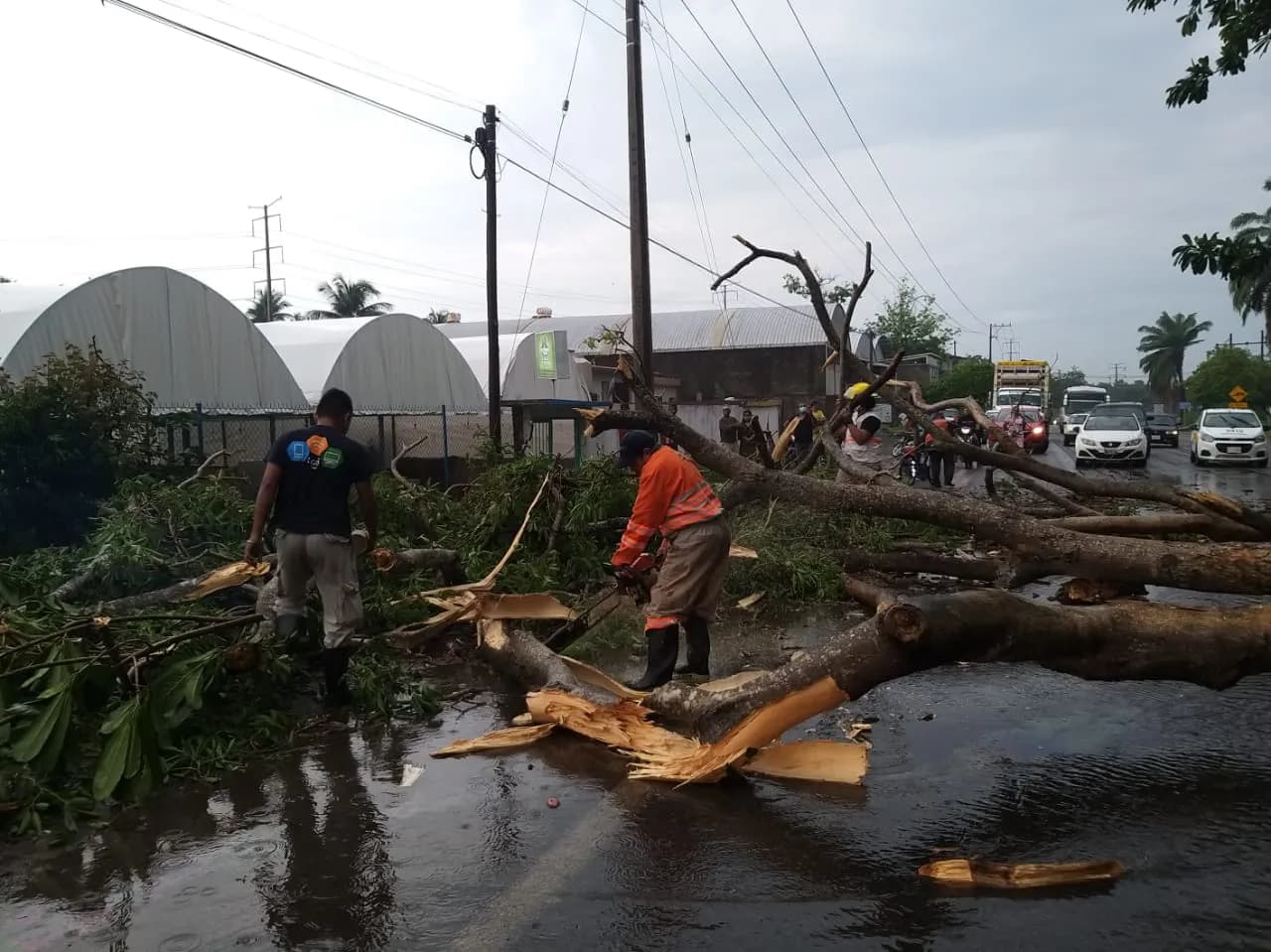 PC ATIENDE EMERGENCIAS POR CAÍDA DE ÁRBOLES Y DESLIZAMIENTOS DE TIERRA EN TAPACHULA