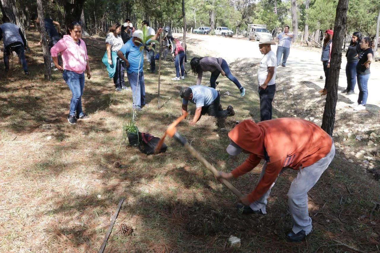Celebra Fiscalía acuerdo reparatorio por delito de ecocidio en Comitán