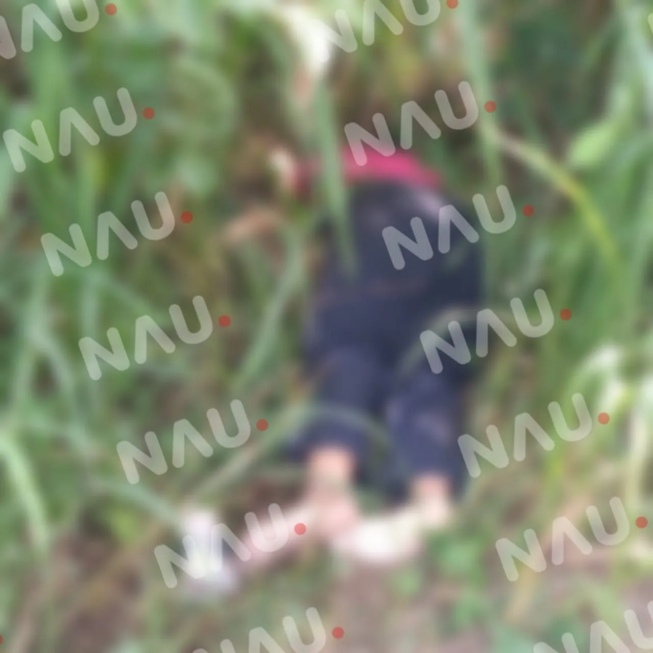 Asesinan a puñaladas a una mujer en TAPACHULA
