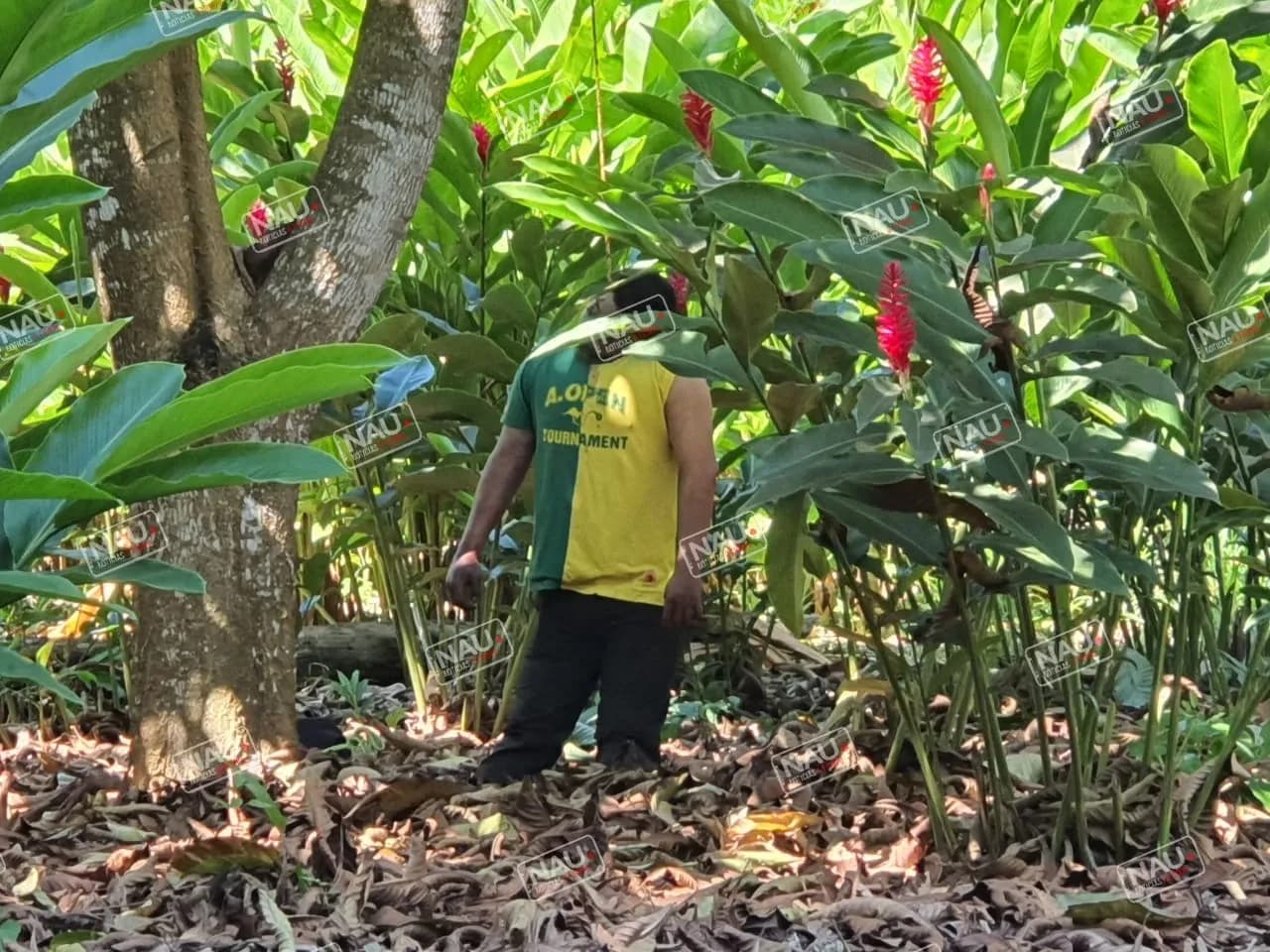 Desconocido se ahorcó en un terreno del ejido Raymundo Enríquez