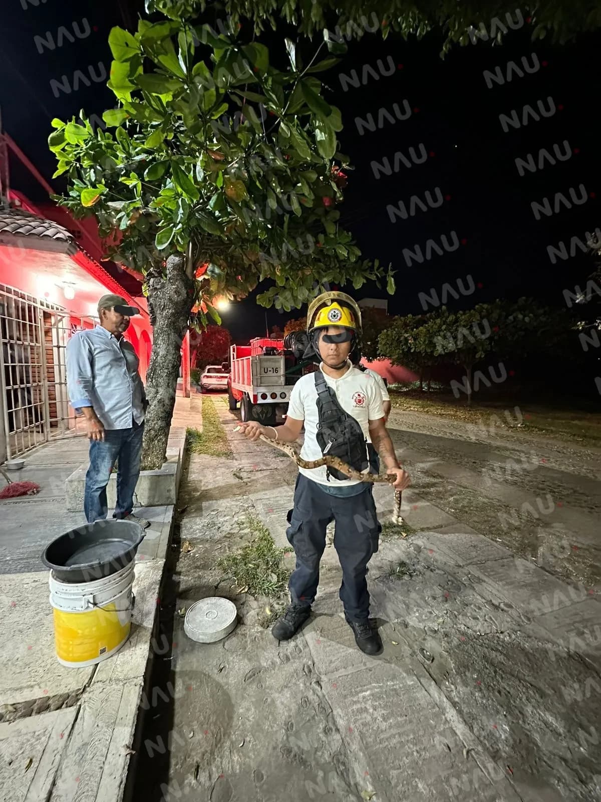 Capturan reptil en Residencial Las Vegas: intervención exitosa del cuerpo de Bomberos de Tapachula