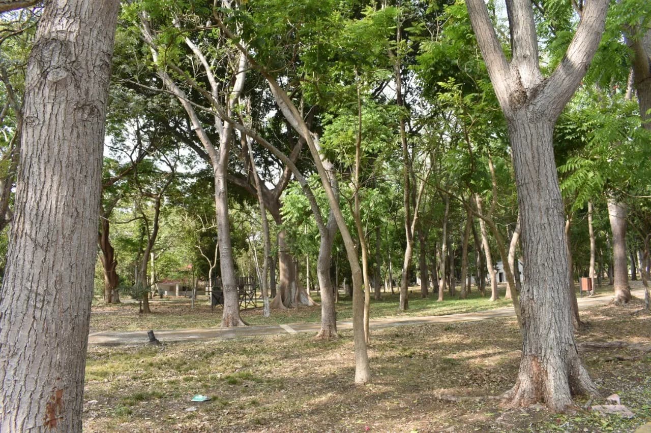 INVITAN AL CUIDADO DE LA BIODIVERSIDAD EN EL “DÍA DE LA TIERRA” EN TAPACHULA
