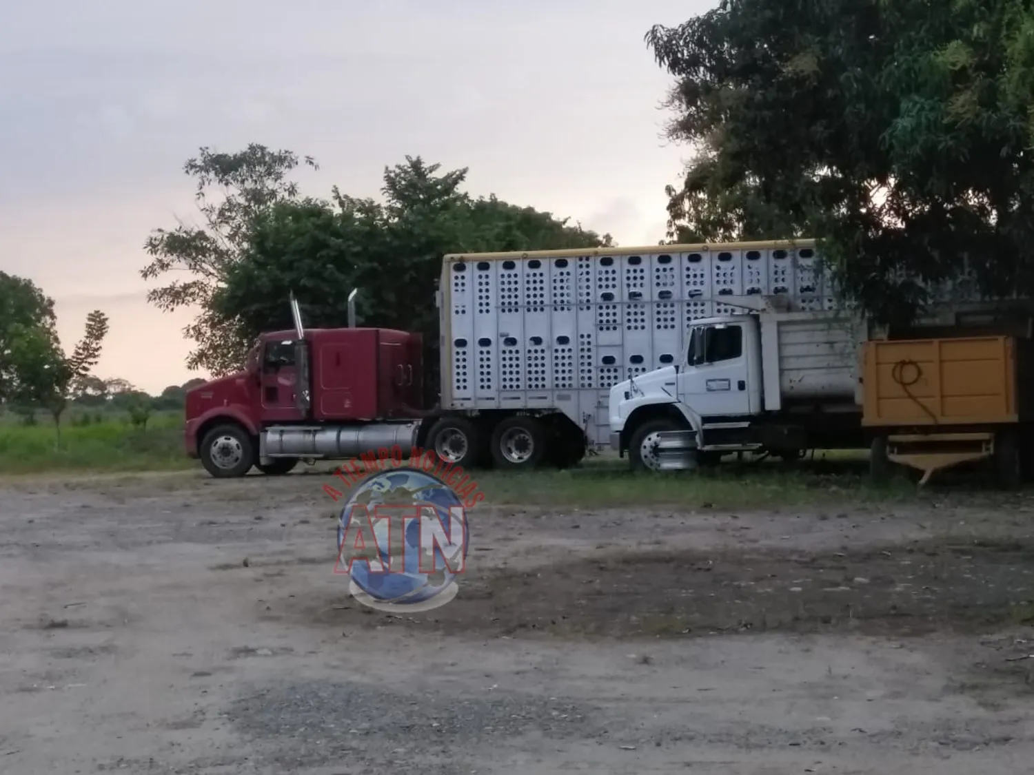 Aseguran más de 30 vehículos, armas y droga en los 5 ranchos cateados de Mazatán