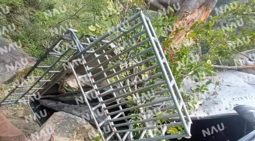Guatemala: camioneta llena de gente cae en un barranco y causa la muerte de al menos 18