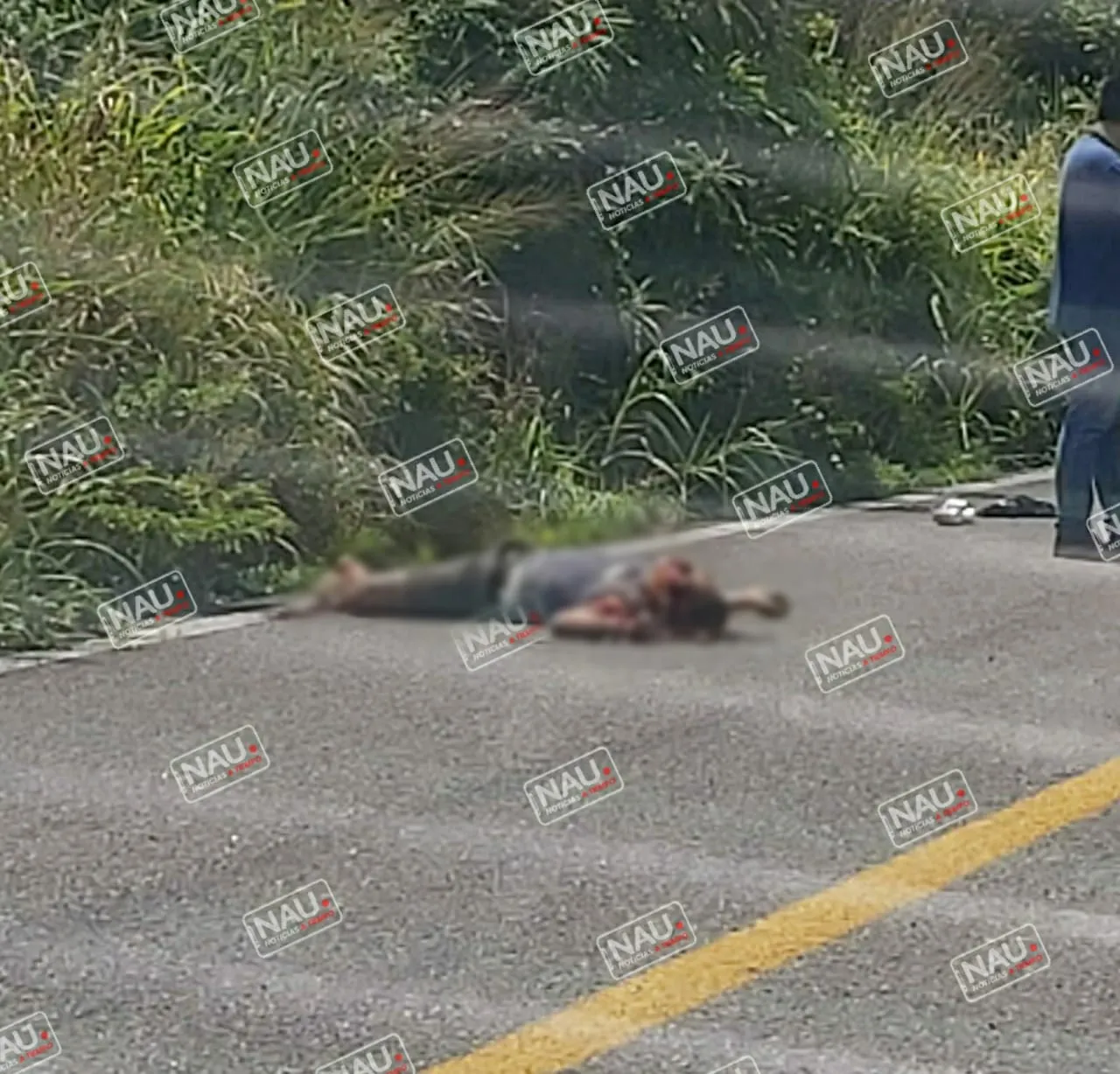 Muere motociclista al ser atropellado por un camión Torton.