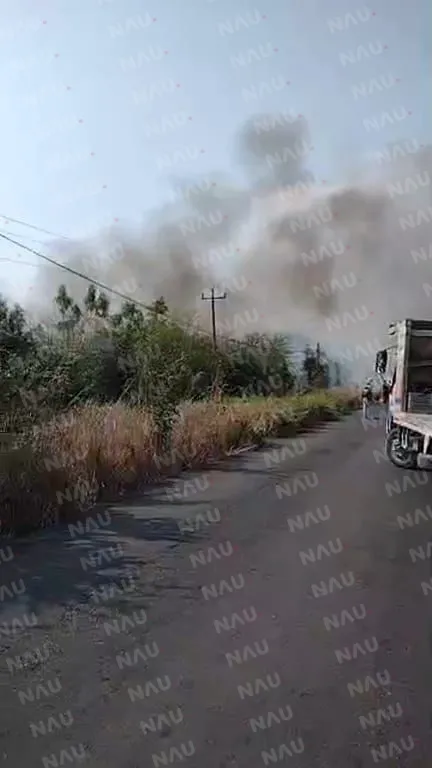 Incendio en Tapachula consume más de 3 hectáreas de pastizal