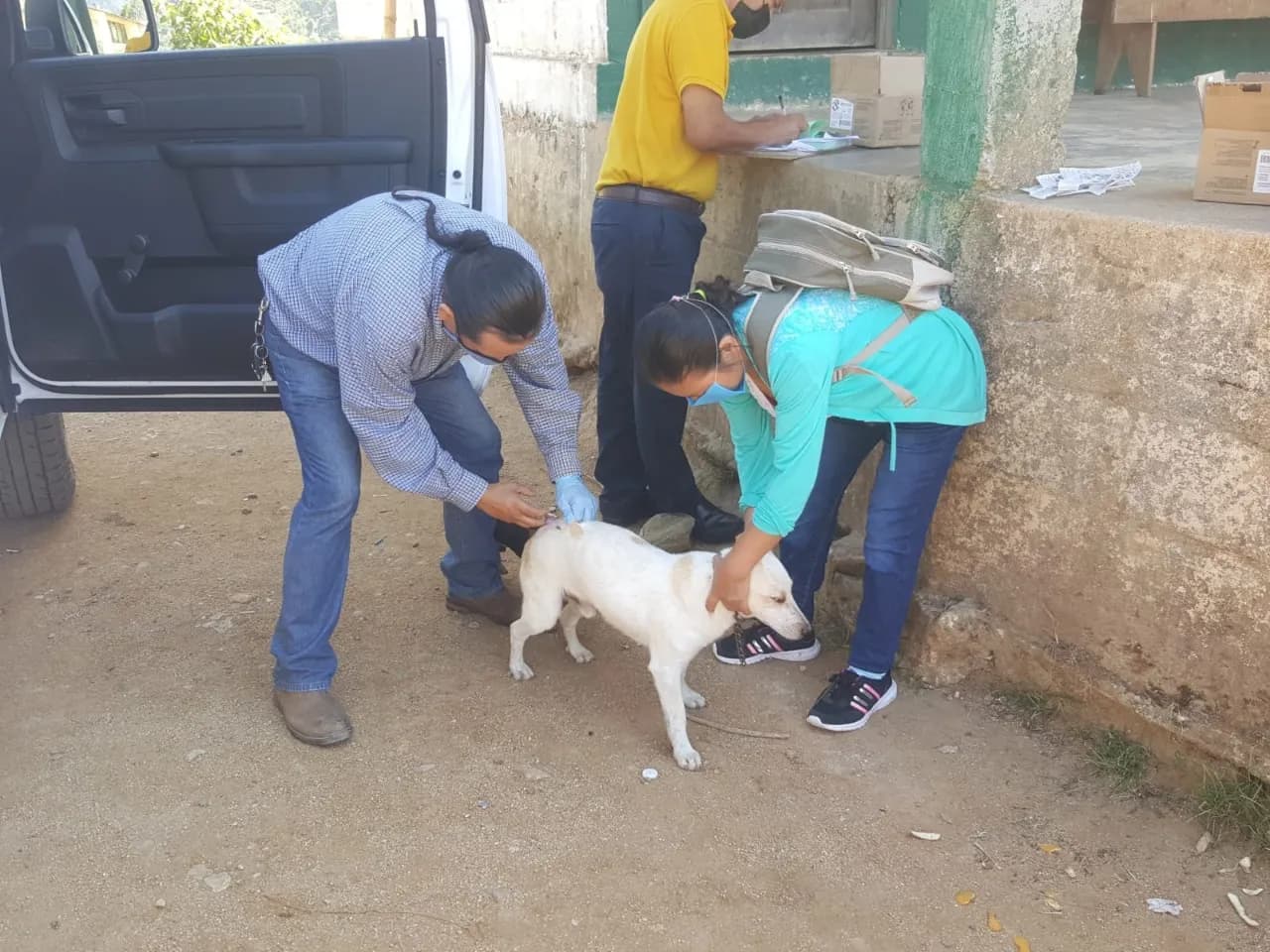 CULMINA LA PRIMERA JORNADA DE VACUNACIÓN ANTIRRÁBICA EN LA ZONA ALTA DE TAPACHULA