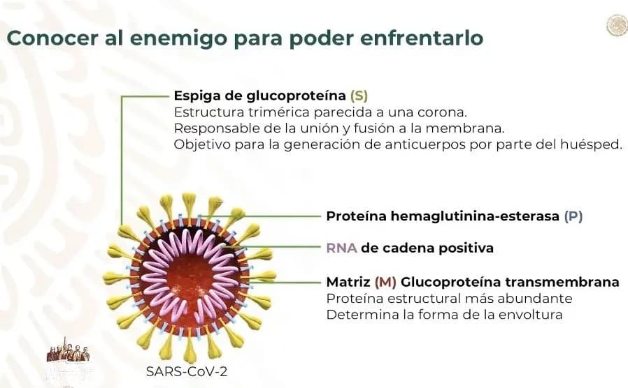 Ahora o nunca
