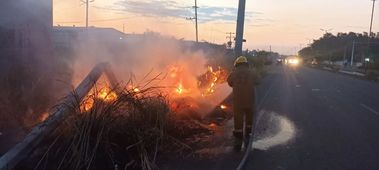 PROTECCIÓN CIVIL DE TAPACHULA CONTROLA INCENDIO DE PASTIZALES