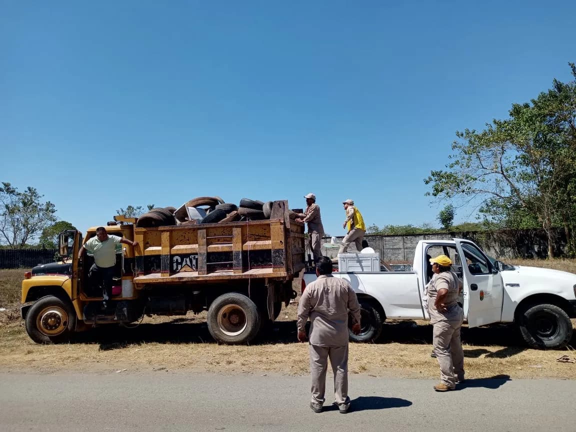 COMPLETAN PROGRAMA DE DESCACHARRAMIENTO PERMANENTE EN ZONA NORPONIENTE DE TAPACHULA