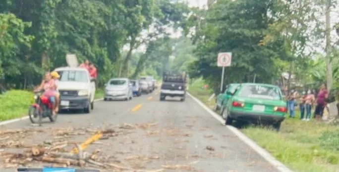 Taxi con daños al caerle ramas de un árbol en la carretera a Talismán