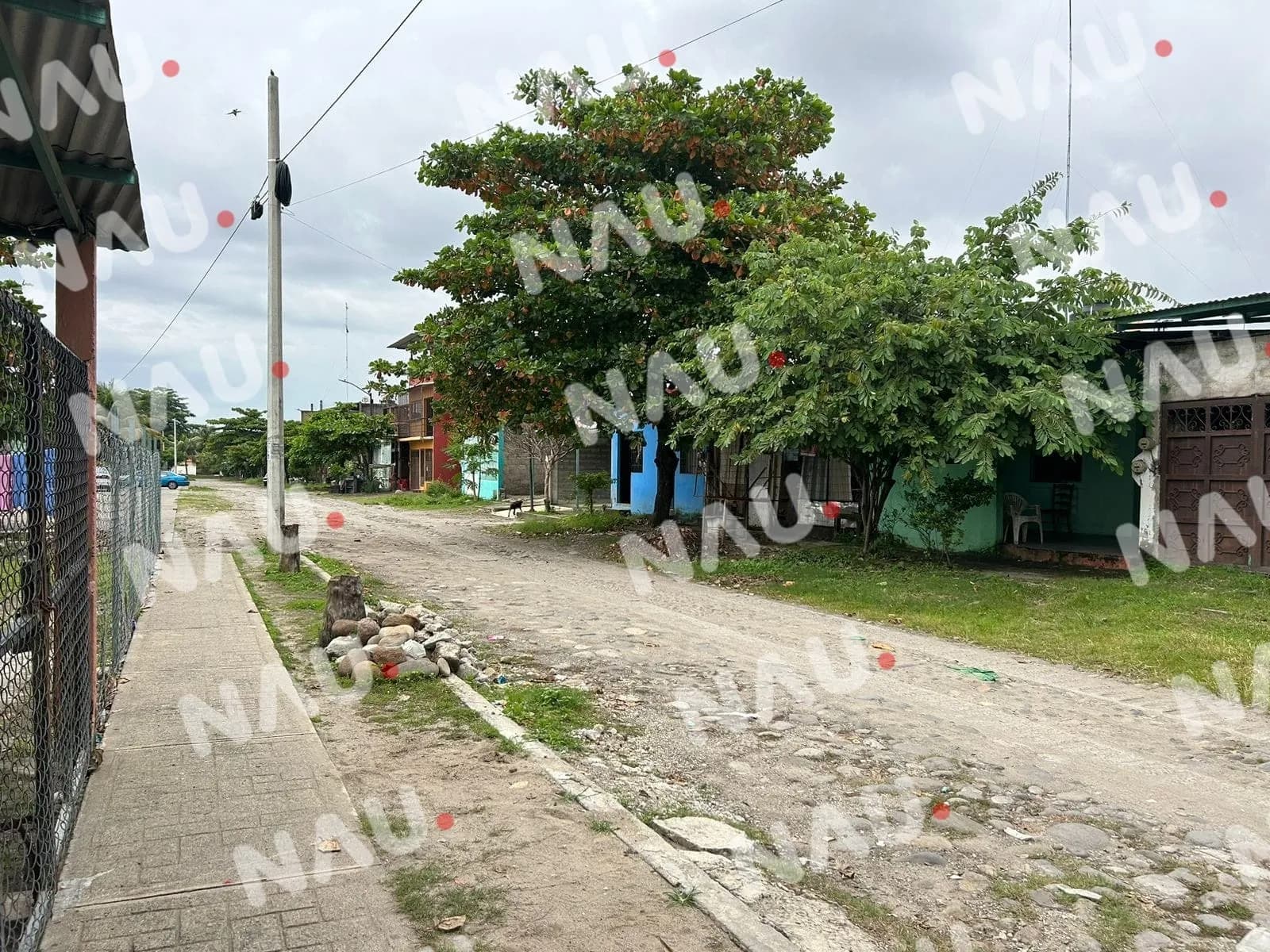 Habitantes del Fraccionamiento Los Palacios en Tapachula Solicitan Intervención Urgente de la CFE
