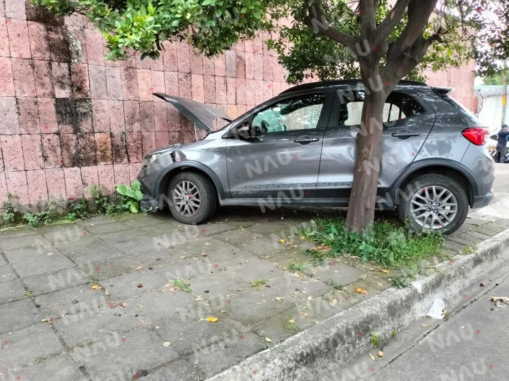 Chocó contra una barda de una casa