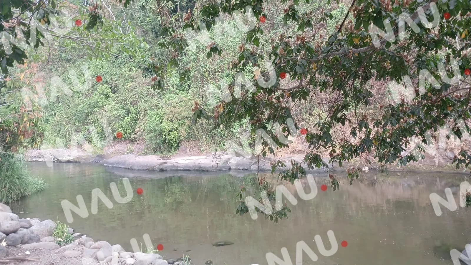 Un menor de origen guatemalteco falleció ahogado