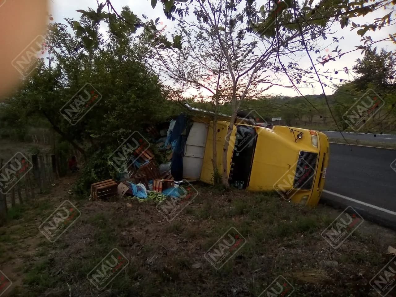 Vuelca camión cargado de plátano en la carretera costera