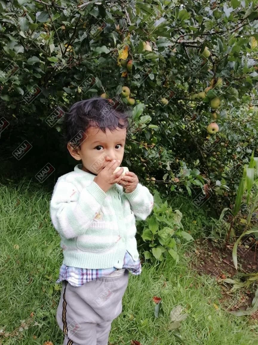 Menor de 2 años fue reportado como desaparecido en Tuzantán