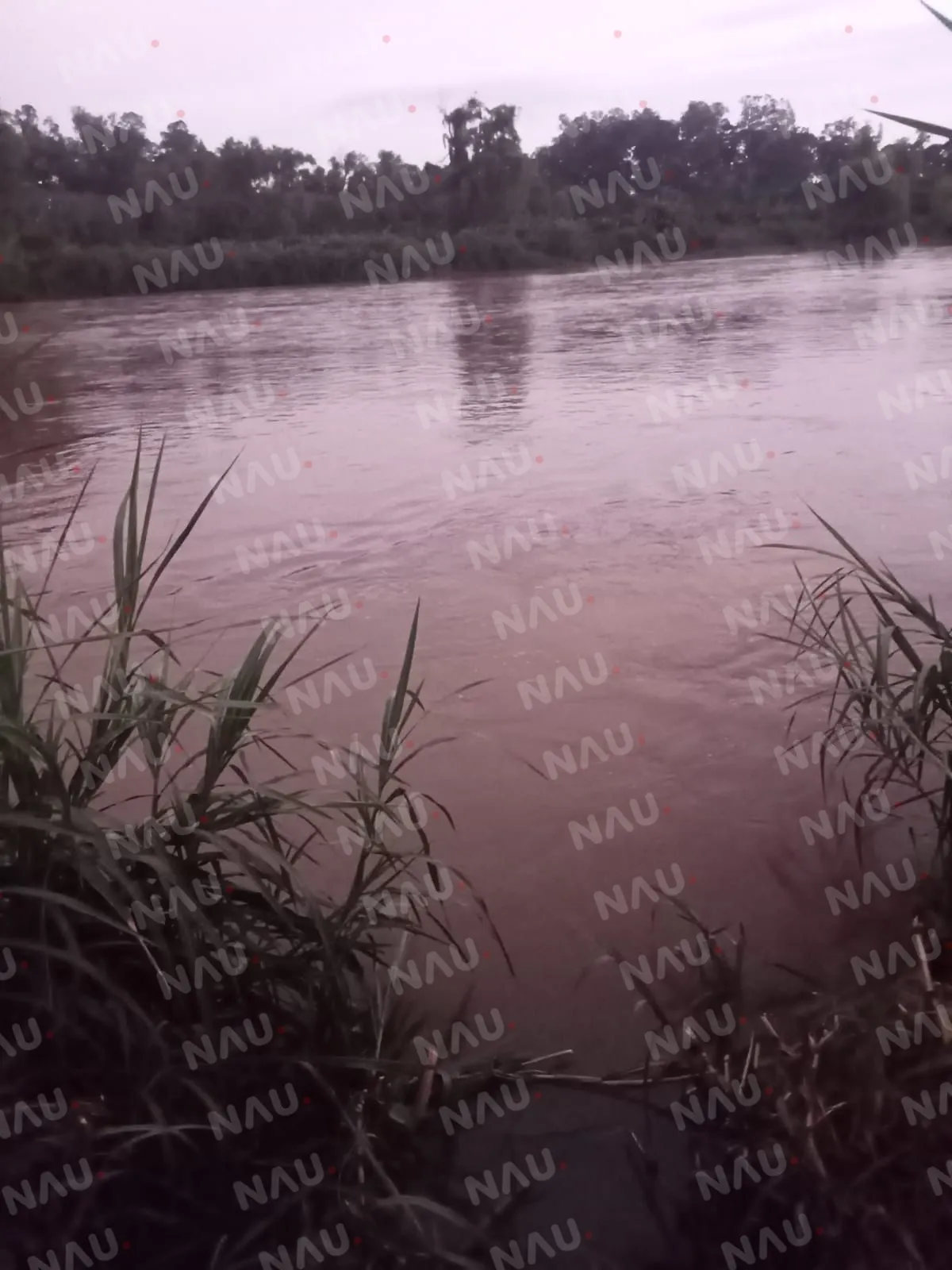 Asesinan a un hombre en Ciudad Hidalgo; su cuerpo fue encontrado en el río Suchiate