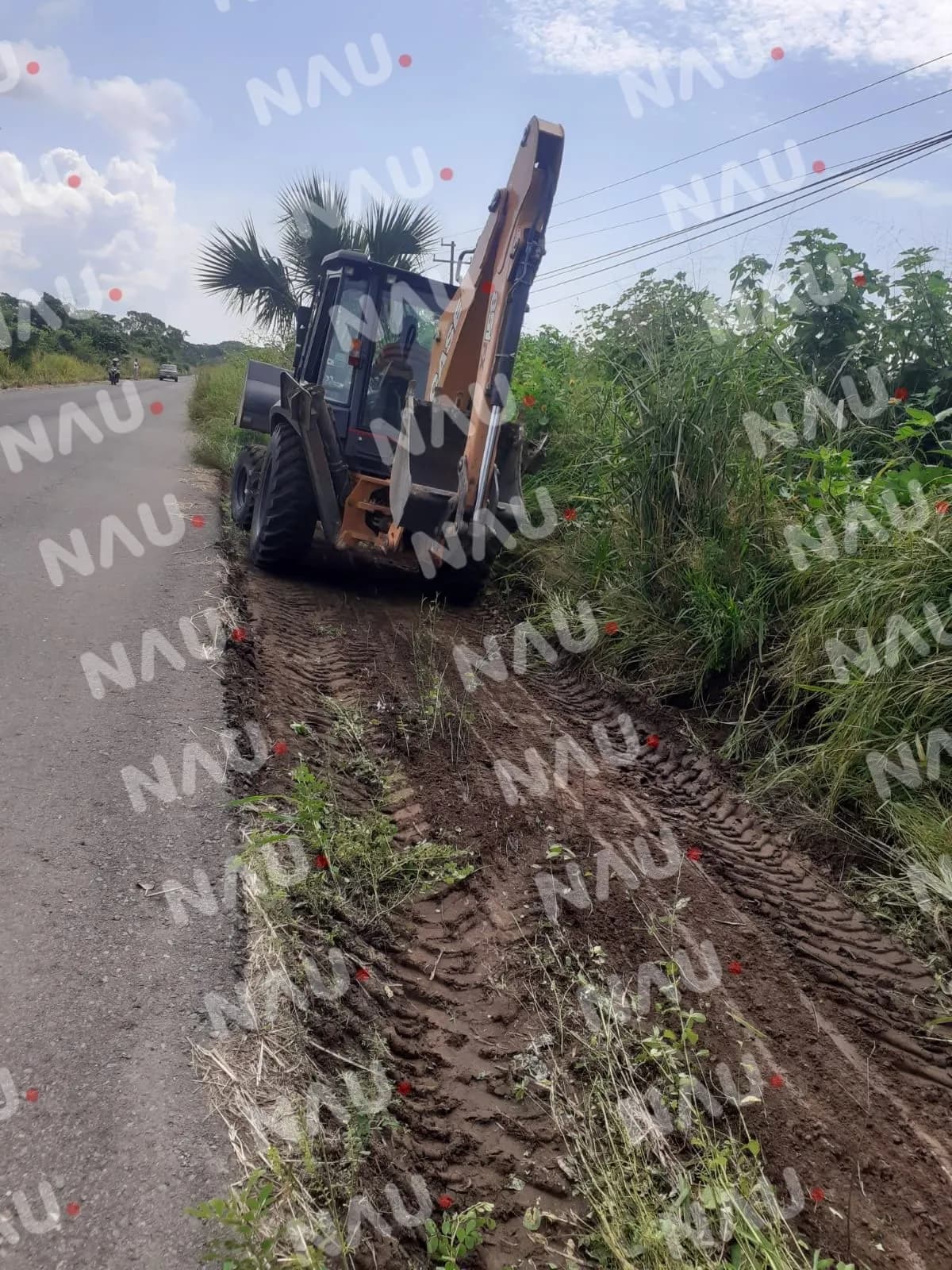 Limpian carretera a Playa Linda para prevenir accidentes