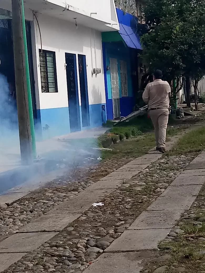 Se Mantiene Operativo De Combate Al Dengue, Zika Y Chikungunya En Colonias De Tapachula