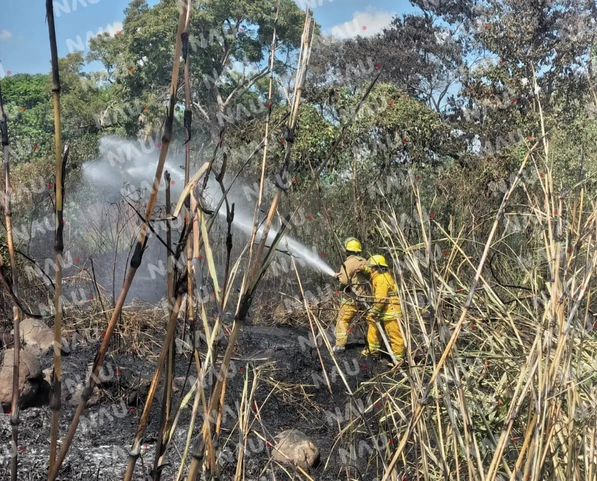 Protección Civil y Bomberos sofocan dos incendios de pastizales en Tapachula
