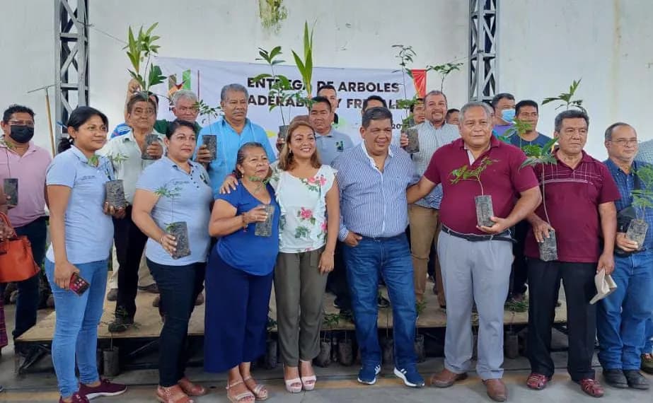 SE REALIZA LA ENTREGA DE ÁRBOLES MADERABLES Y FRUTALES A IGLESIAS EN HUIXTLA.