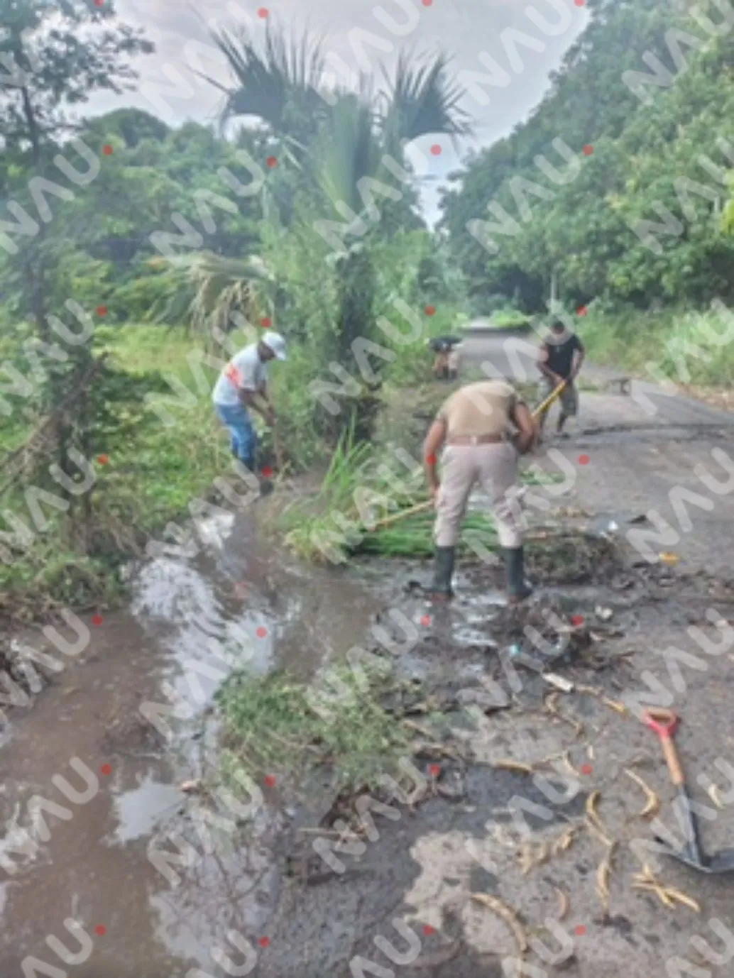 Se encharca viviendas de las familias en la zona baja de Tapachula