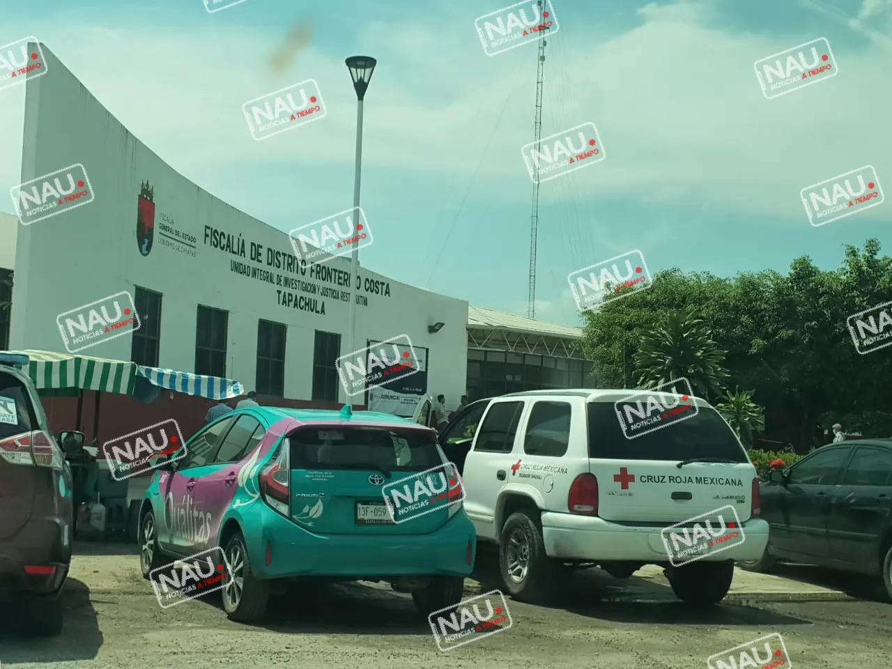 En 8 meses se reciben 648 denuncias por violencia familiar: Elsa Simón Ortega.