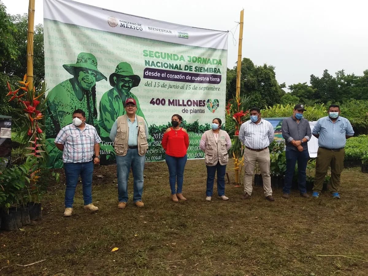 Inicia Segunda Jornada Nacional De Siembra En Regiones Costa, Soconusco Y Sierra