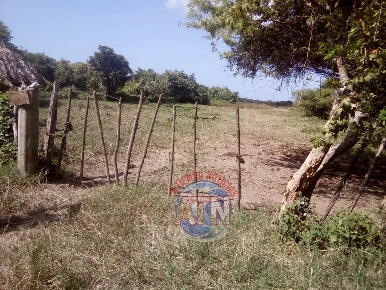 Lo asesinaron y su familia se lo llevó a su casa