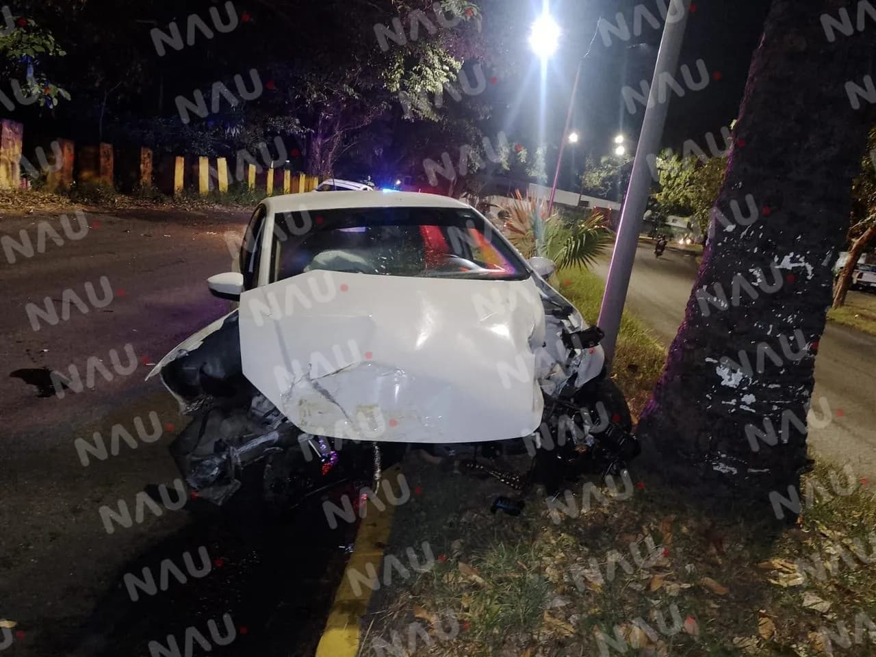 Por Exceso de velocidad y falta de precaución choca contra palmera