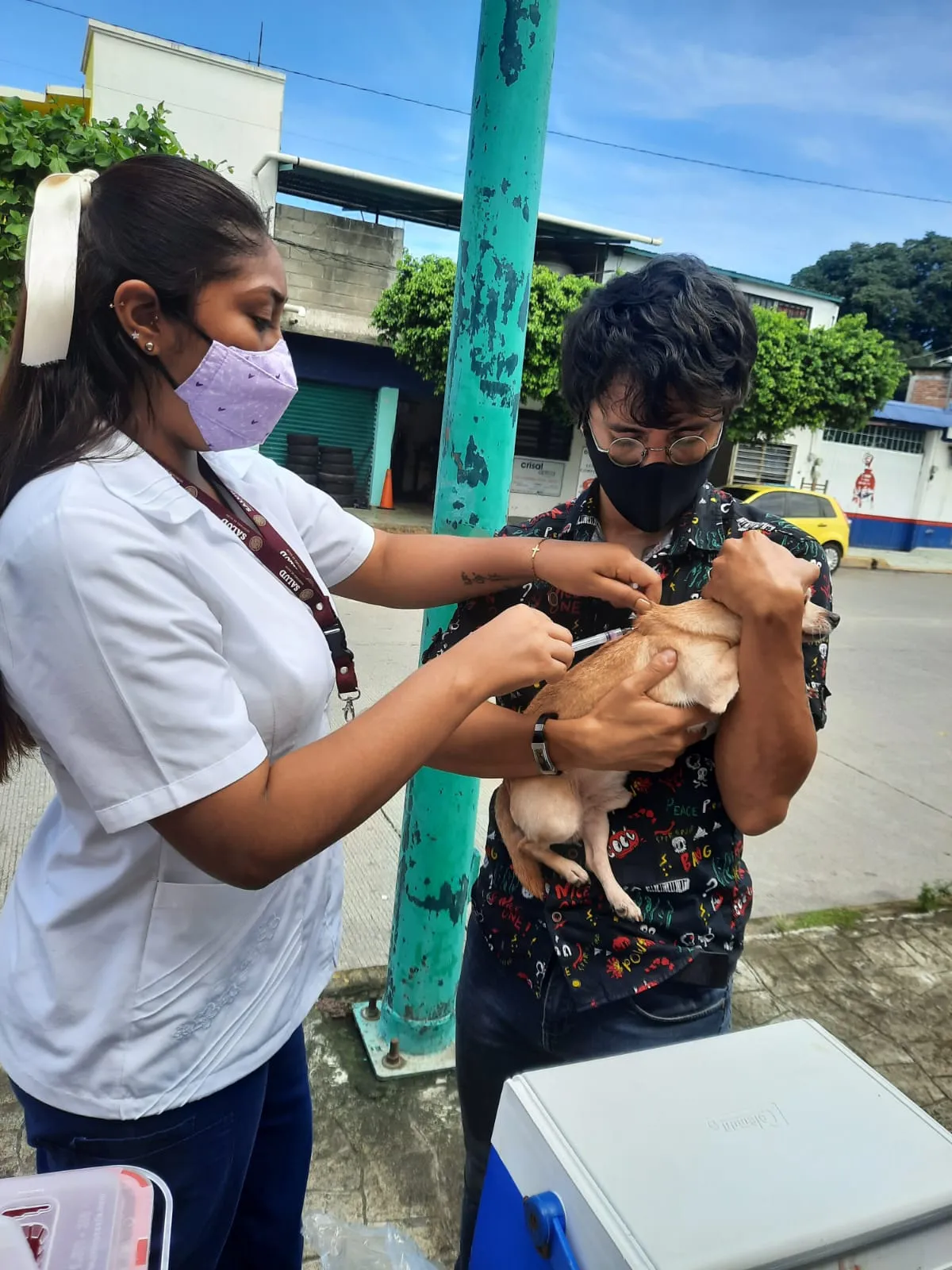 Continúa Jornada Antirrábica Felina Y Canina En Tapachula