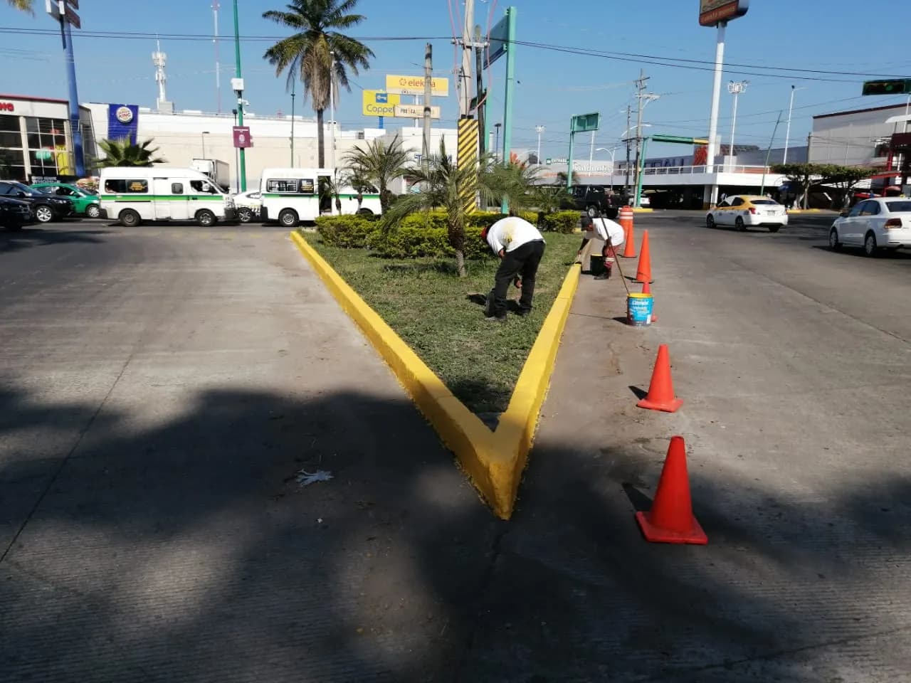 INVITAN A LA CIUDADANIA A SUMARSE AL PROGRAMA “PRIMAVERA”, PARA EMBELLECER A TAPACHULA