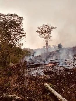 Detiene Fiscalía a dos implicados en incendio de pastizales en la Frailesca