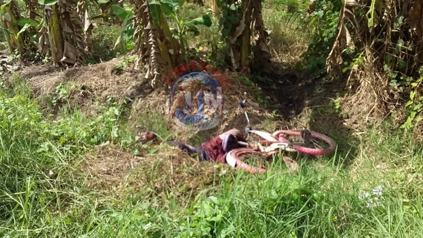 Asesinan a machetazos a una persona