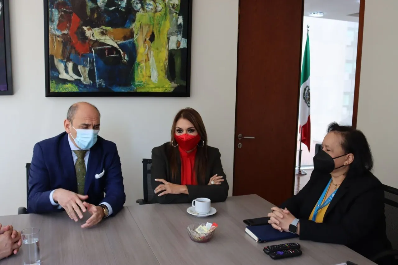 ALCALDESA DE TAPACHULA SOSTIENE ENCUENTRO CON RESIDENTE DE PNUD EN MÉXICO