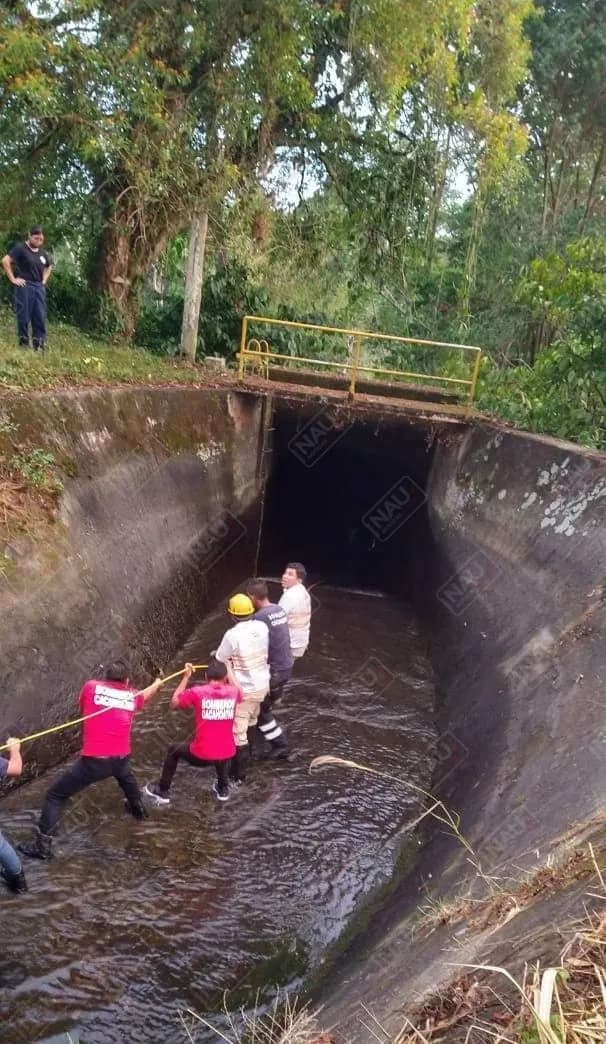 Localizan cuerpo que cayó a la toma de agua de la presa Cecilio del Valle