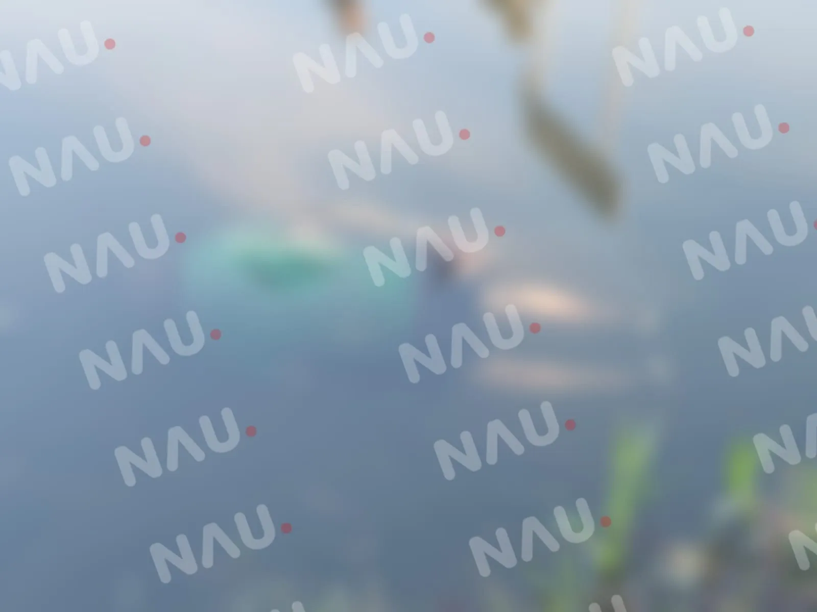 Muere un indigente ahogado en el canal de aguas negras del ejido Rayón de Suchiate