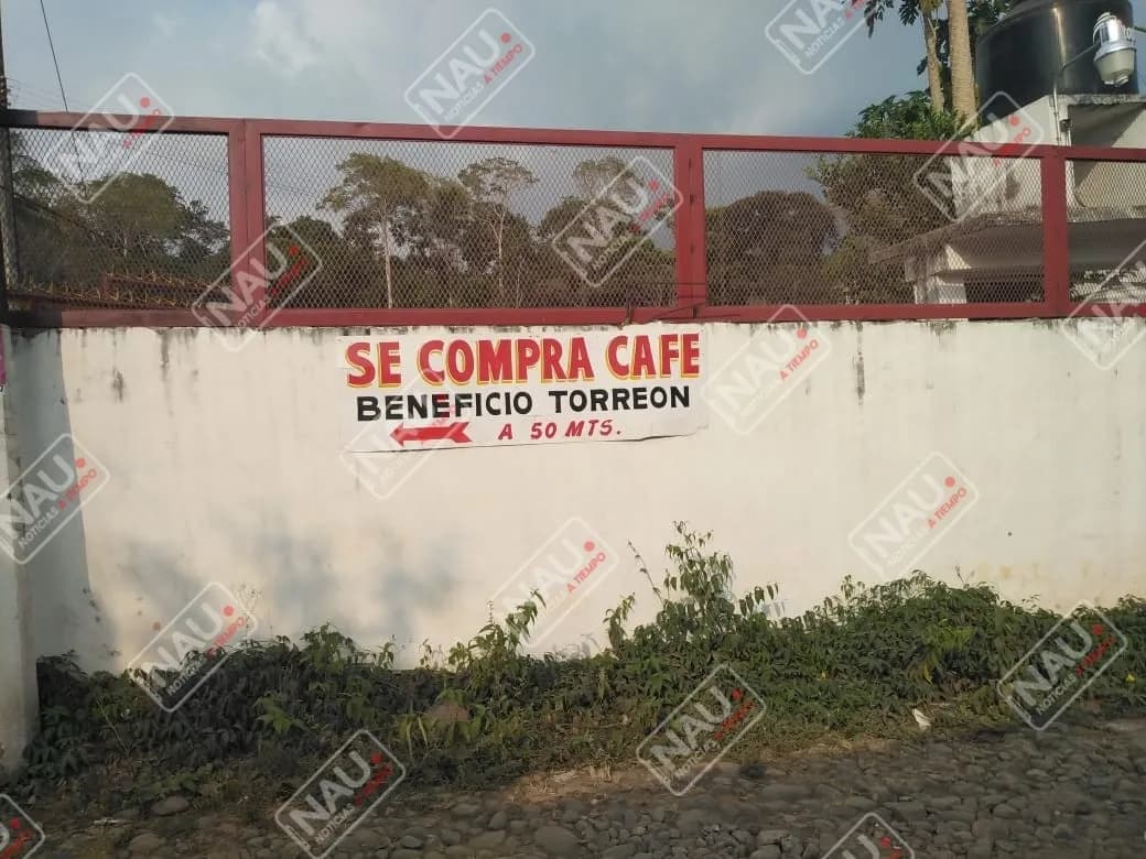 Familias sufren enfermedades por contaminación de Beneficio de Café