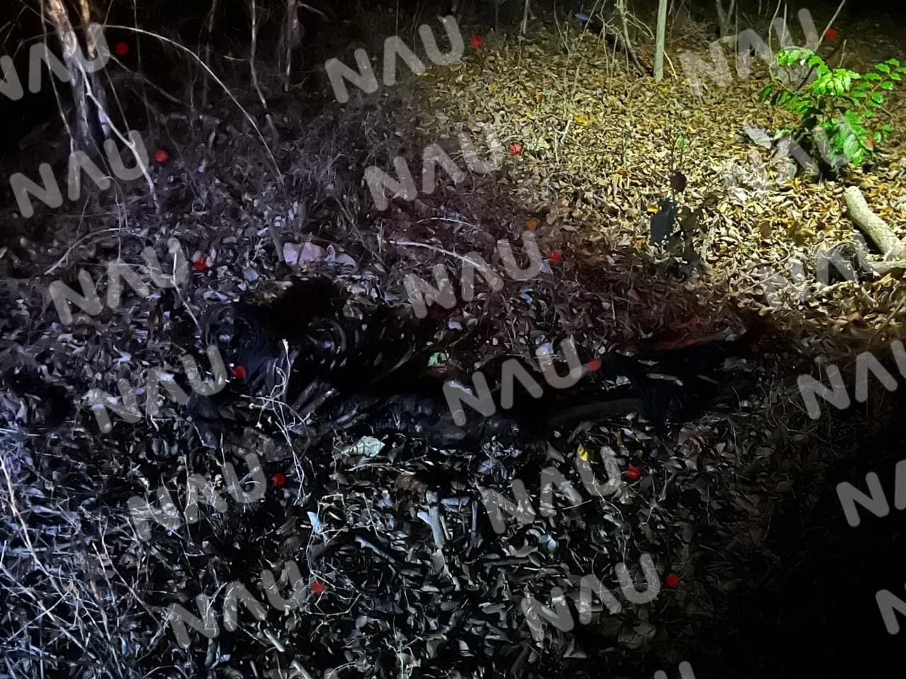 Localizan restos humanos en la zona baja de Tapachula