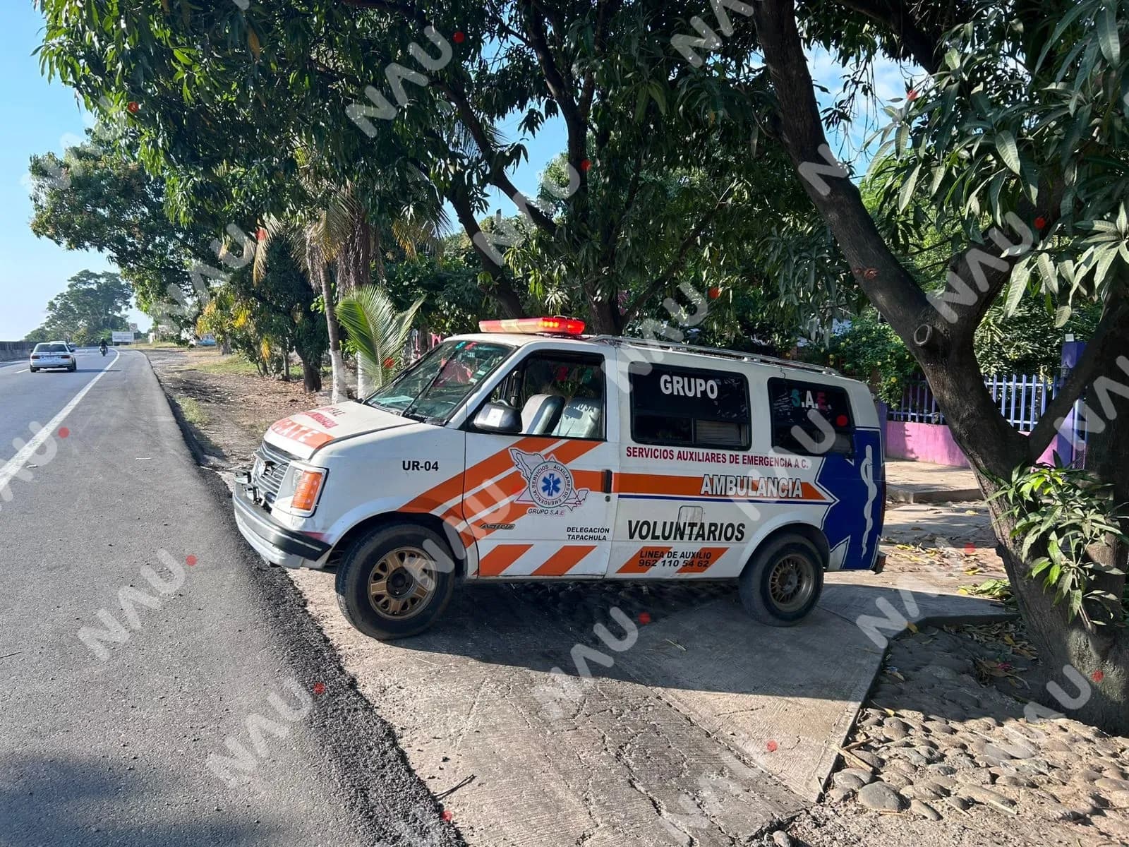 Menor sufre múltiples picaduras de abejas en el cantón Pacayalito, en Tapachula