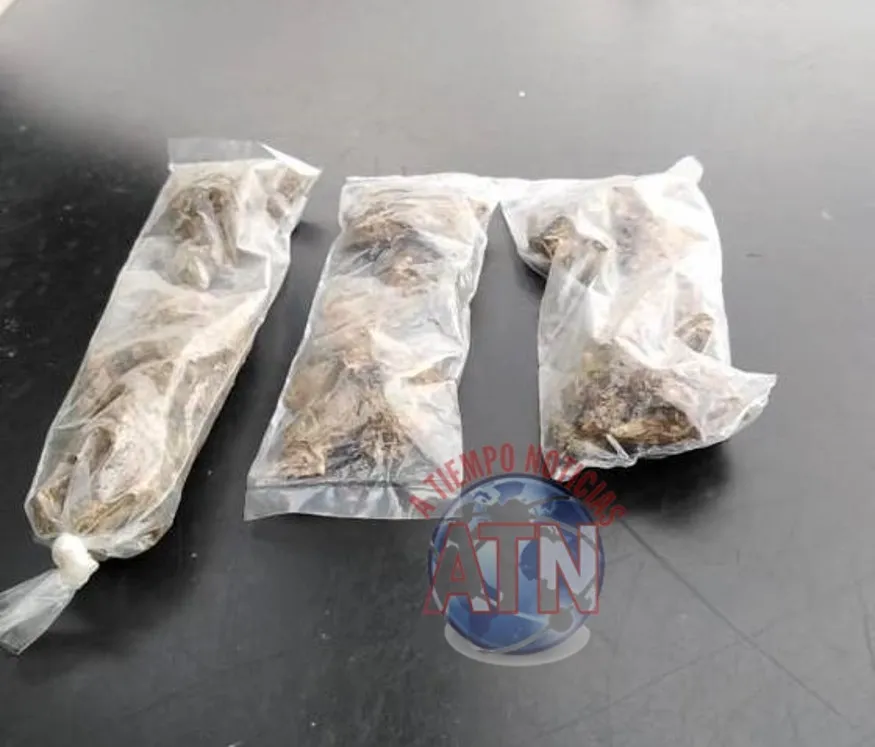 Le encontraron tres bolistas de marihuana