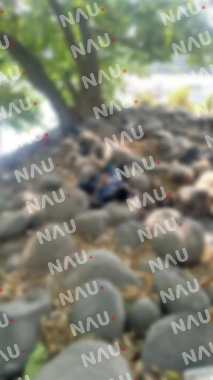 Hallan cuerpo sin vida con múltiples impactos de bala en Suchiate, Chiapas
