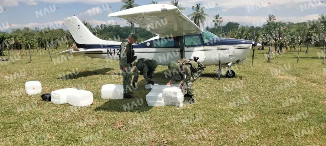 Pérdida millonaria para la delincuencia organizada
