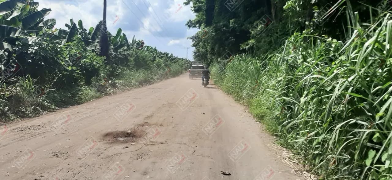 Roban con violencia dos motocicletas