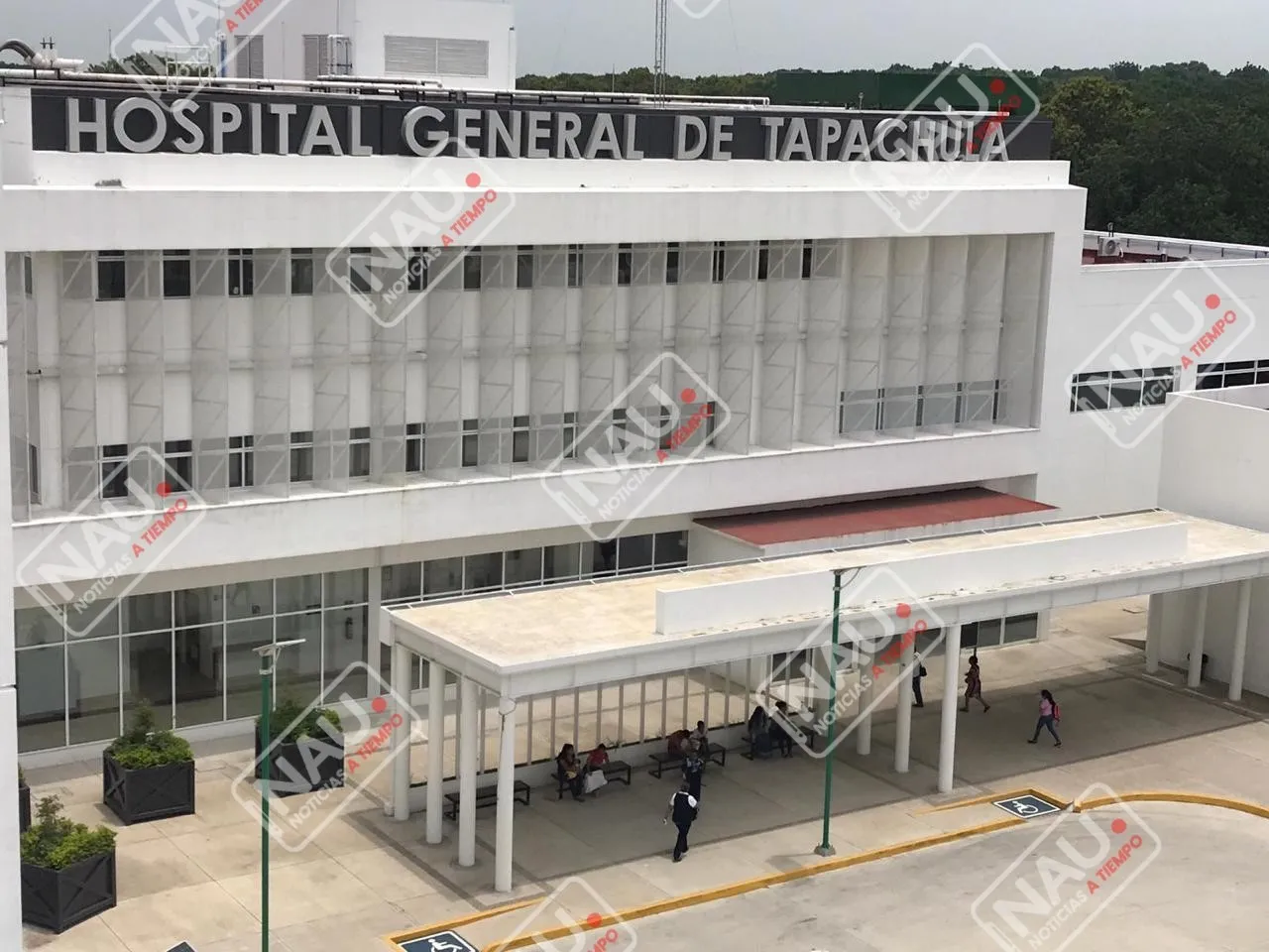 Fueron atropellados por un vehículo desconocido
